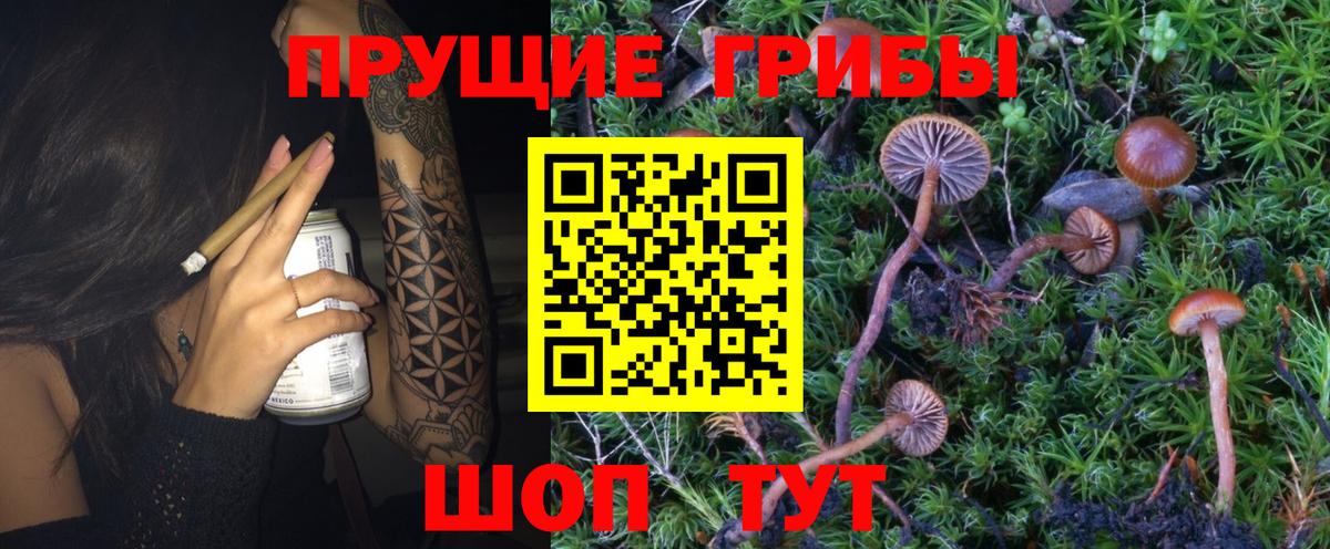 Прокопьевск  Галлюциногенные грибы MAGIC MUSHROOMS  Вход с VPN 